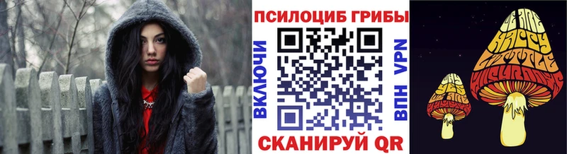 Галлюциногенные грибы Cubensis  где купить наркоту  Баксан 